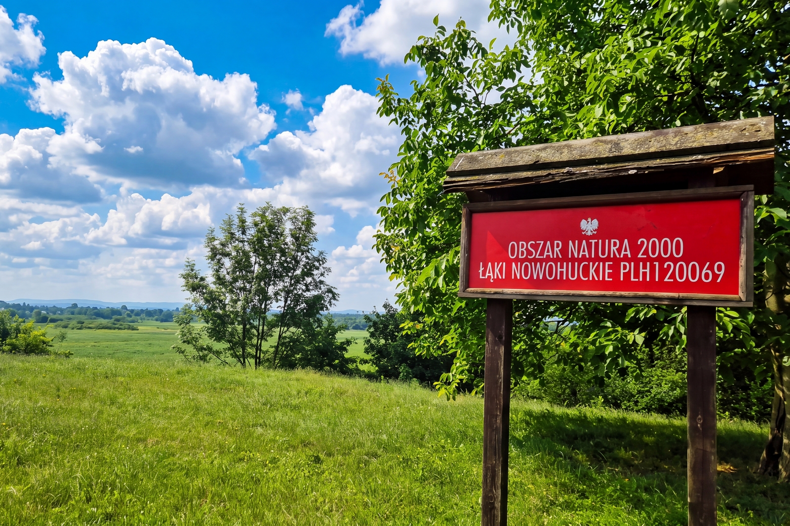 Łąki Nowohuckie