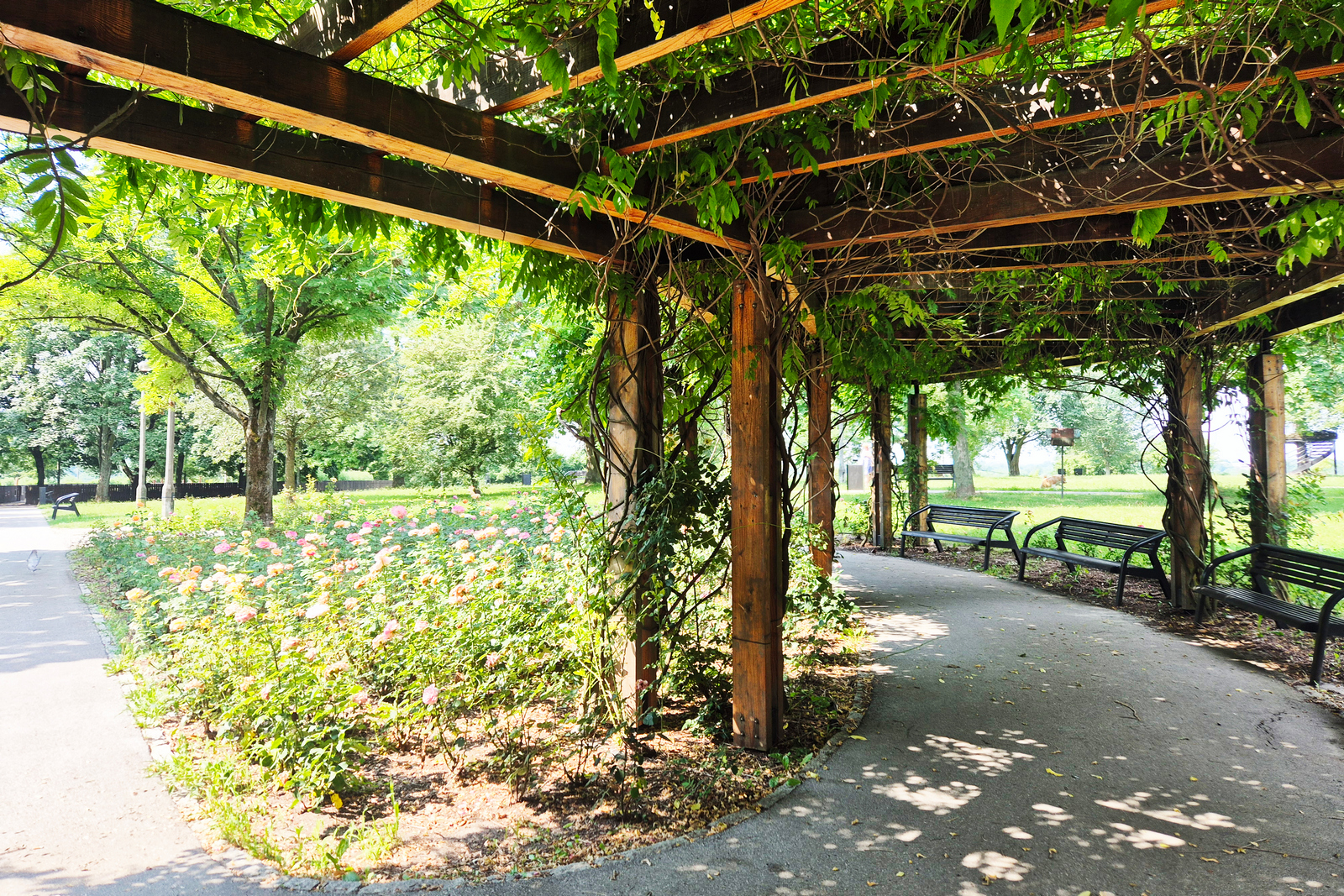 Park im. Stefana Żeromskiego