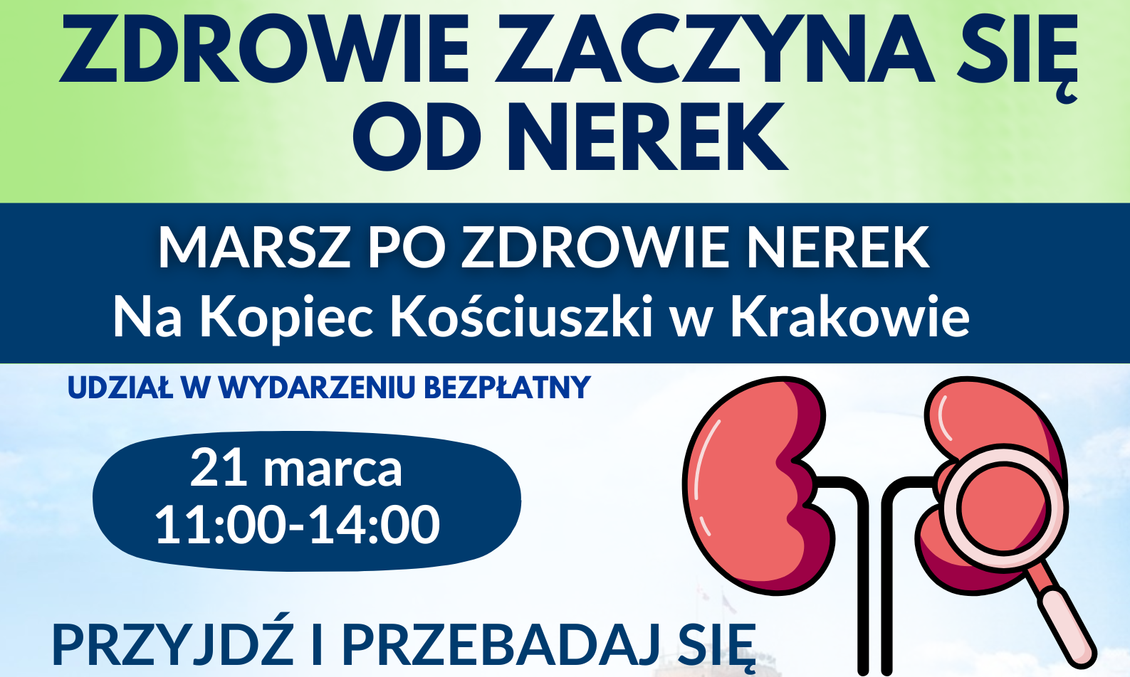 Bezpłatne badania profilaktyczne nerek w Krakowie