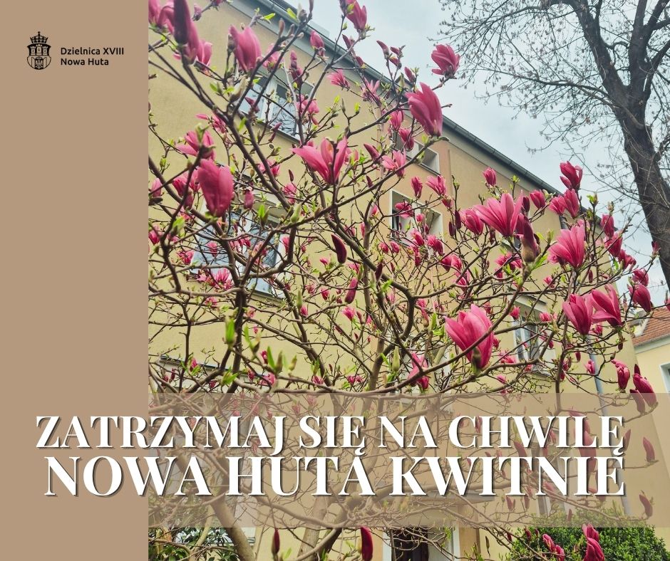 Wiosna w Nowej Hucie