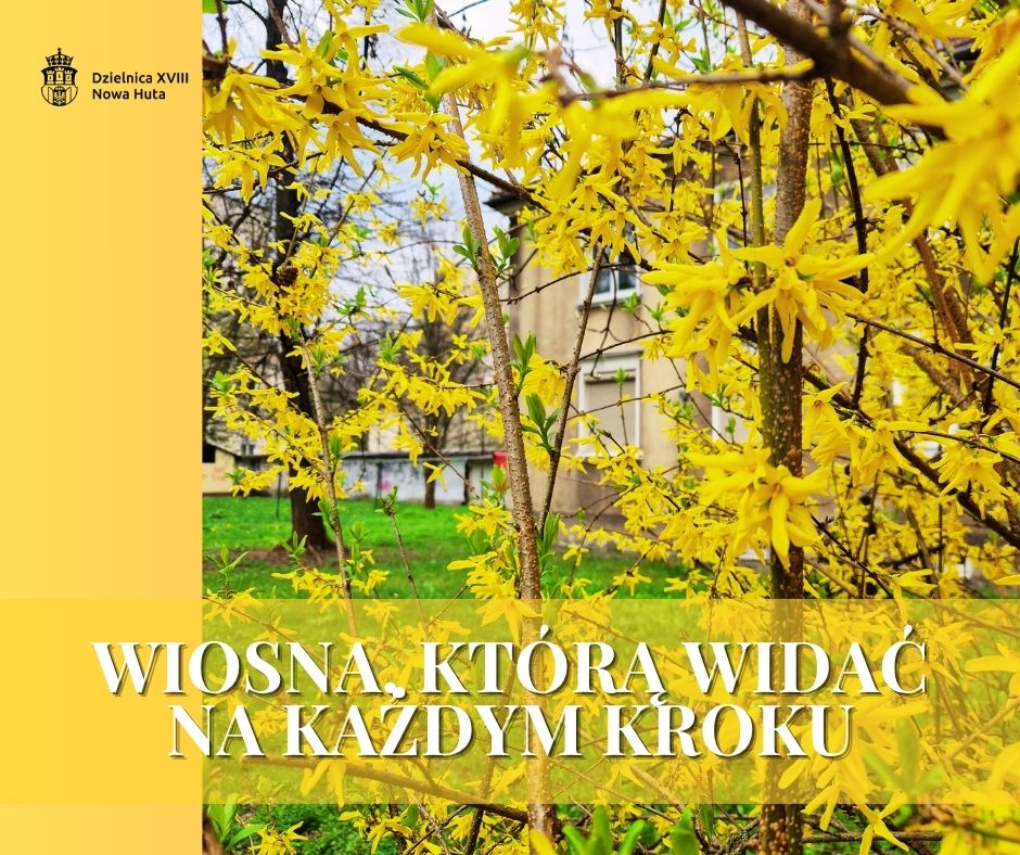 Wiosna w Nowej Hucie