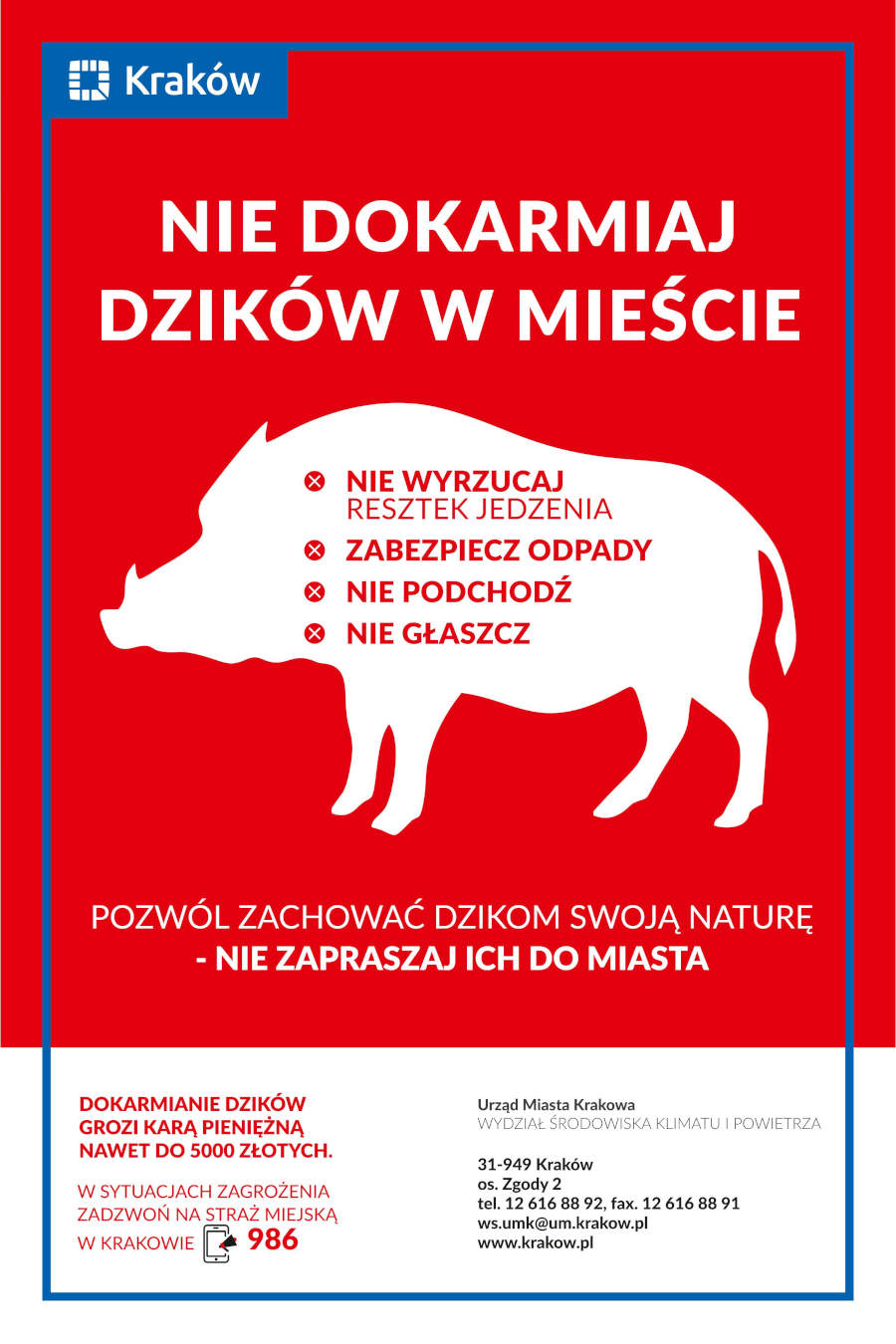 Dzikie zwierzęta w mieście - ważne zasady bezpieczeństwa dla mieszkańców